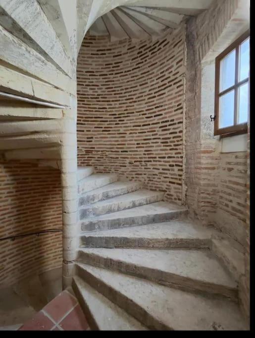 Tour Medievale Unesco Albi Bagian luar foto